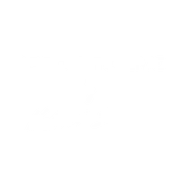Absolute Live by Kathi Béla
